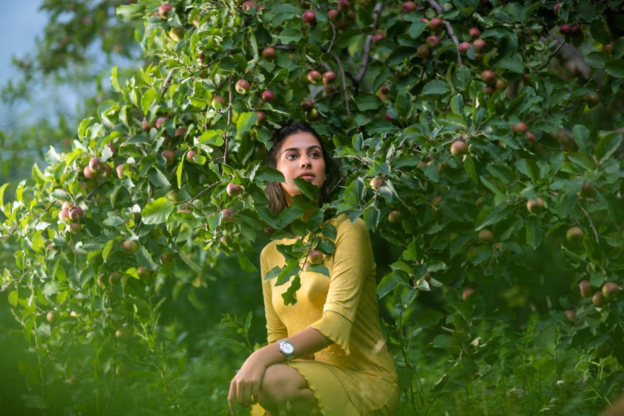 Apple Country Resorts- A Vegetarian Place Manāli Exterior foto
